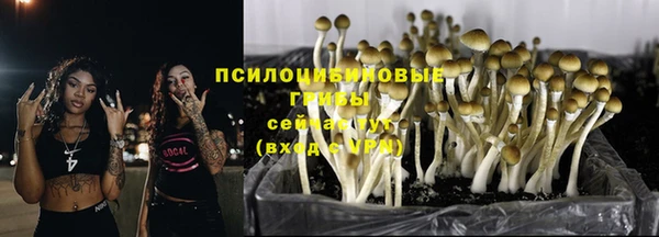 гидропоника Вязники