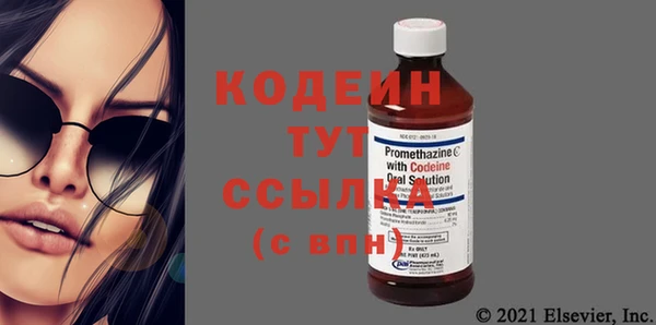 ПСИЛОЦИБИНОВЫЕ ГРИБЫ Вяземский