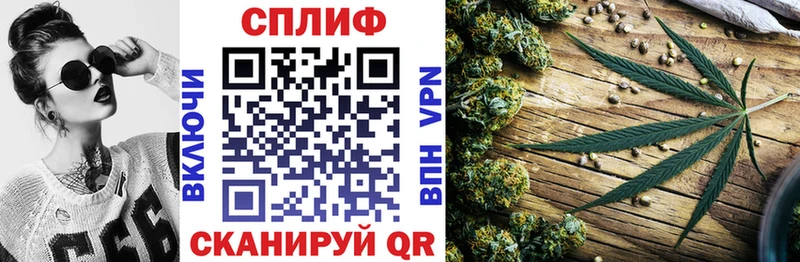 Канабис MAZAR  цены   Ивдель 